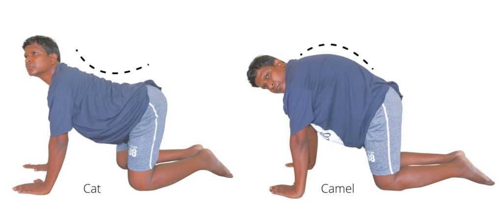 Camel stretch online exercise